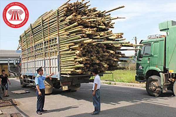 Tài xế chở hàng trên xe ô tô vượt quá chiều dài xếp hàng hóa cho phép sẽ bị xử phạt bao nhiêu?