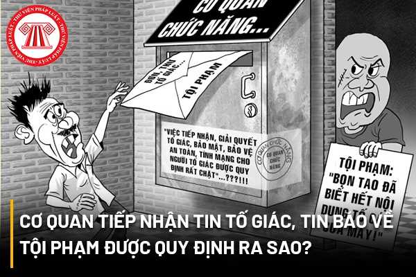 Tin báo về tội phạm 