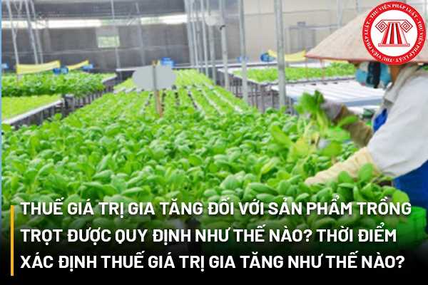 Thuế giá trị gia tăng