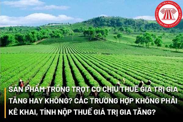 Thuế giá trị gia tăng