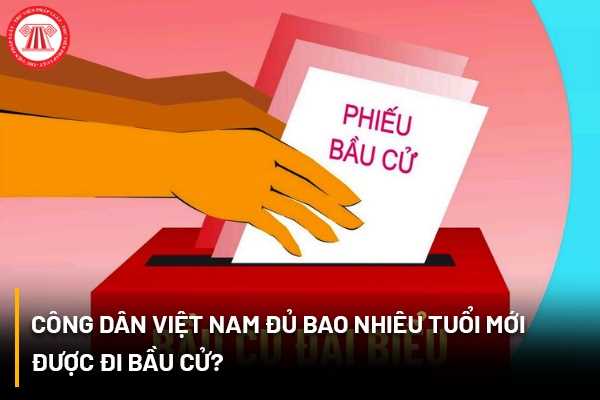 Công dân Việt Nam đủ bao nhiêu tuổi mới được đi bầu cử? 
