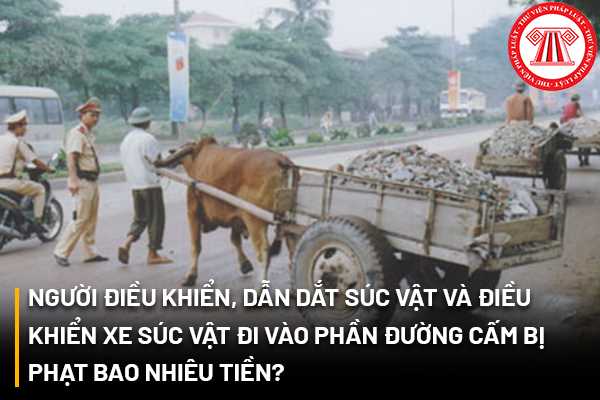 Dẫn dắt súc vật