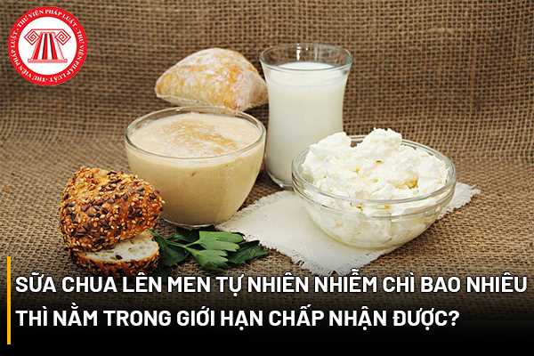 Sữa chua lên men tự nhiên nhiễm chì bao nhiêu thì nằm trong giới hạn chấp nhận được? Và đối với hộp, túi đựng cũng phải đảm bảo về lượng chì như thế nào?