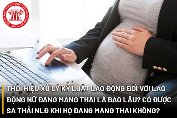 Kỷ luật lao động