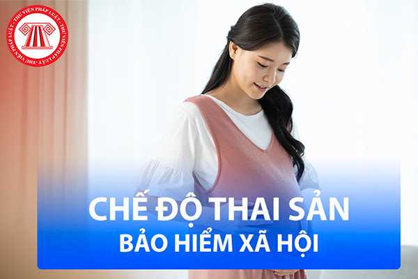 Thời hạn 10 ngày để công ty phải kê khai và nộp cho cơ quan BHXH giải quyết chế độ thai sản thì có bắt buộc phải là ngày làm việc không?