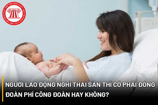 Đoàn phí