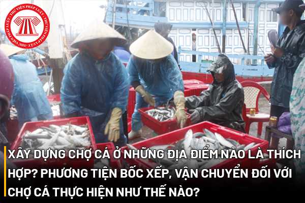 Xây dựng chợ cá ở những địa điểm nào là thích hợp? Phương tiện bốc xếp, vận chuyển đối với chợ cá thực hiện như thế nào?