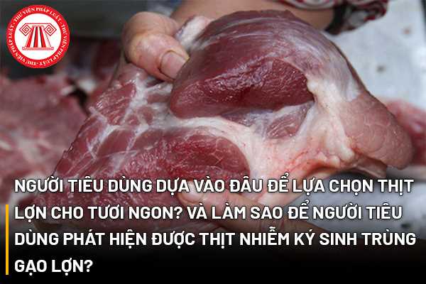 Người tiêu dùng dựa vào đâu để lựa chọn thịt lợn cho tươi ngon? Và làm sao để người tiêu dùng phát hiện được thịt nhiễm ký sinh trùng gạo lợn?