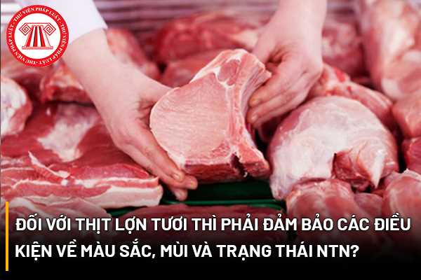 Đối với thịt lợn tươi thì phải đảm bảo các điều kiện về màu sắc, mùi và trạng thái như thế nào?