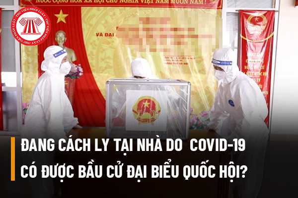 Bầu cử Đại biểu Quốc hội