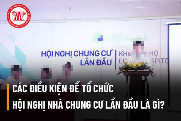 Các điều kiện để tổ chức hội nghị nhà chung cư lần đầu là gì? Khi không đủ điều kiện thì có cần phải tổ chức hay không?