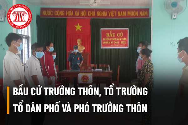 Trưởng thôn