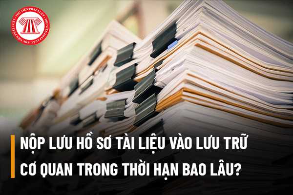 Với việc tạo ra các hệ thống lưu hồ sơ tài liệu chuyên nghiệp, việc quản lý, tìm kiếm, sửa chữa và bảo trì tài liệu trở nên dễ dàng hơn. Các lưu hồ sơ này không chỉ giúp cho truy xuất và chia sẻ thông tin dễ dàng hơn mà còn giảm thiểu tối đa các lỗi về dữ liệu.