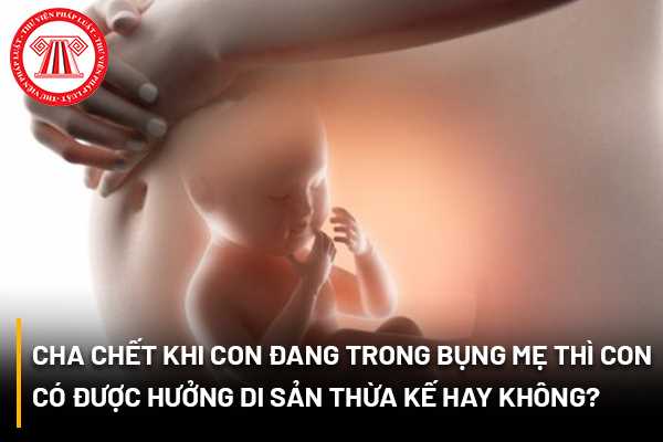 Cha chết khi con đang trong bụng mẹ thì con có được hưởng di sản thừa kế hay không? Tài sản chung của vợ chồng sẽ được chia thừa kế như thế nào?