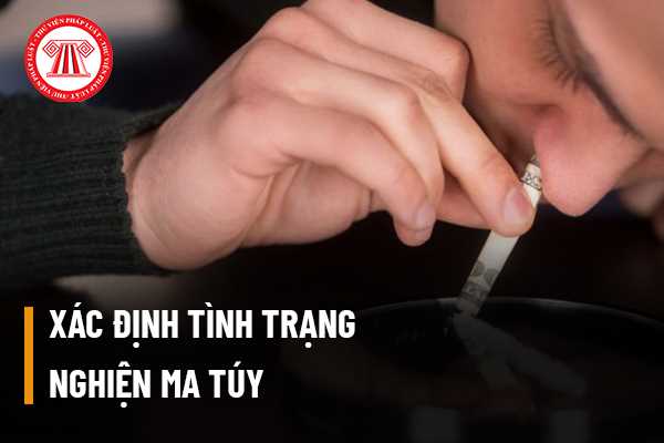 Xác định tình trạng nghiện ma túy