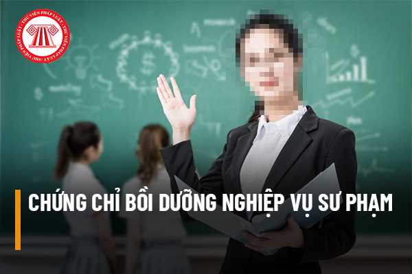 Chứng chỉ bồi dưỡng nghiệp vụ sư phạm