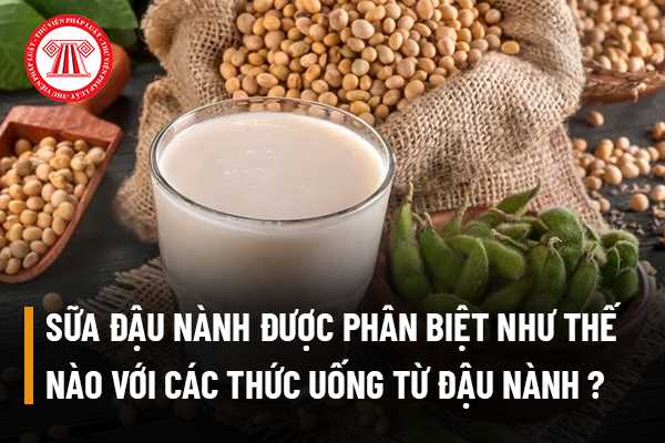 Sữa đậu nành