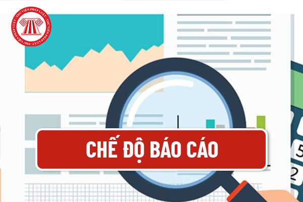 Chế độ báo cáo 