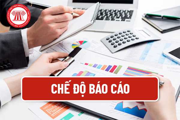 Chế độ báo cáo 