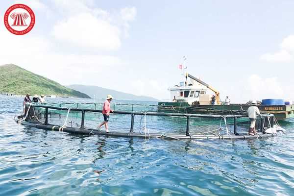 giao khu vực biển cho cá nhân nuôi trồng thủy sản