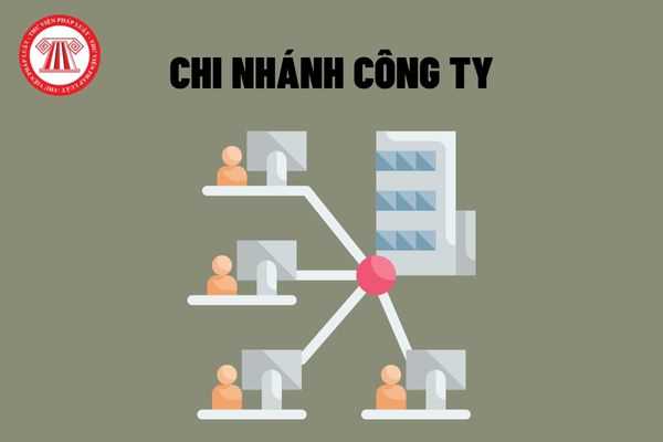 Chi nhánh công ty cổ phần