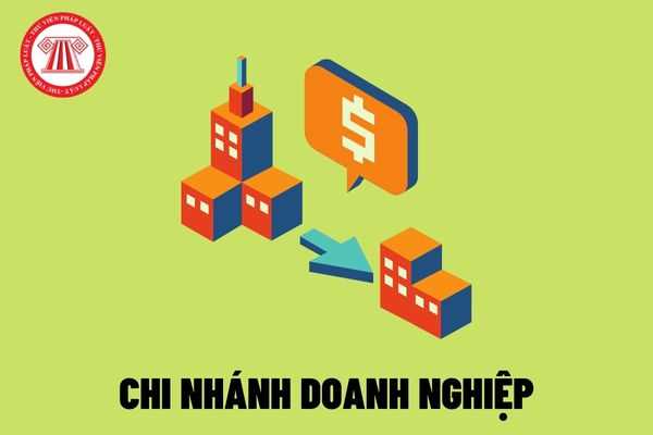 Chi nhánh doanh nghiệp đứng tên trên Giấy chứng nhận quyền sử dụng đất có phù hợp với quy định của pháp luật không?