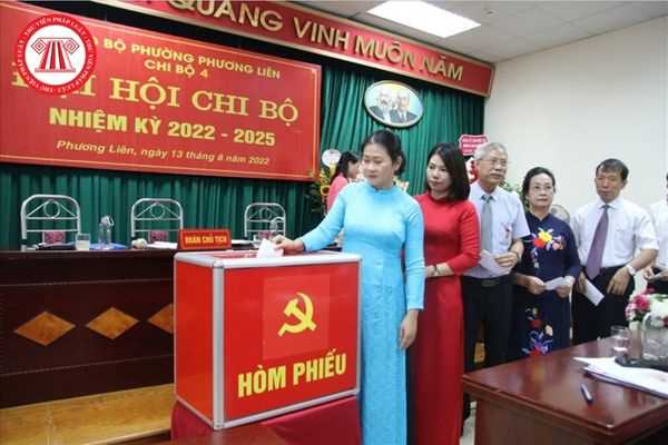 Trong kỳ đại hội chi bộ thì Bí thư Đảng ủy mới được bầu cử có được phép ký ngay vào văn bản không?