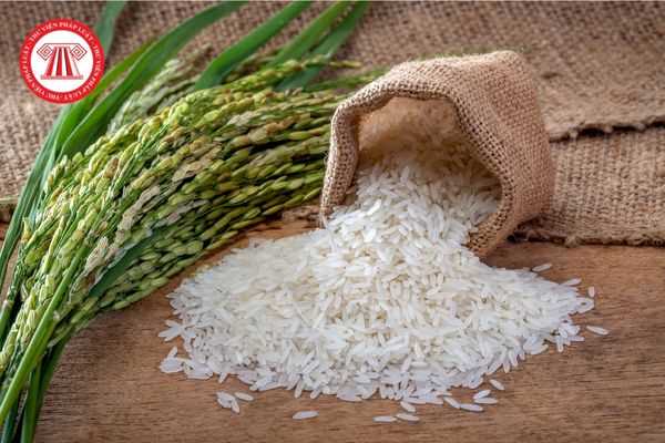 Quy định về bảo quản và vận chuyển thóc, gạo hữu cơ phải tuân thủ những gì?