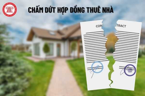 Nếu bên thuê gặp khó khăn tài chính thì chủ nhà có quyền chấm dứt hợp đồng thuê nhà hay không?