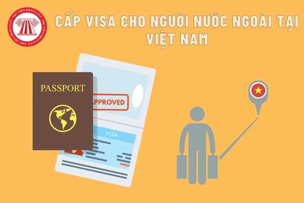 Thủ tục xin cấp visa cho người nước ngoài tại Việt Nam