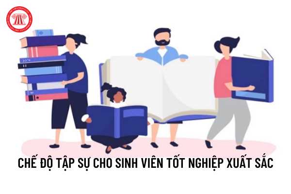 Chế độ tập sự cho sinh viên tốt nghiệp xuất sắc