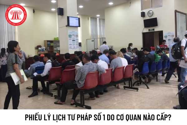 Giải thích lý lịch tư pháp số 1 là gì và những điều quan trọng