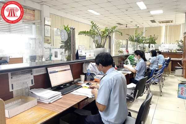 Pháp luật