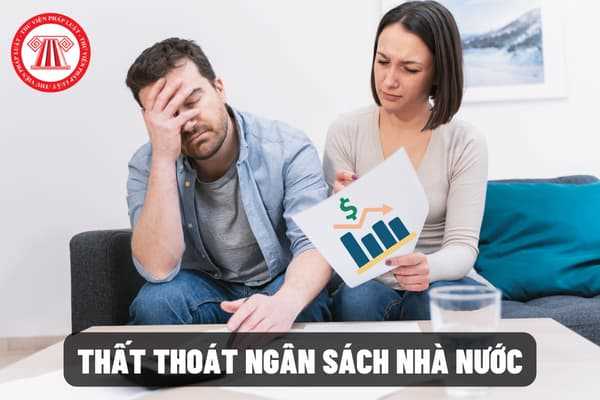 Pháp luật