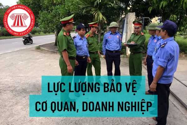 Lực lượng bảo vệ cơ quan, doanh nghiệp có nhiệm vụ, quyền hạn gì? Chính sách đối với nhân viên bảo vệ tại cơ quan, doanh nghiệp như thế nào?