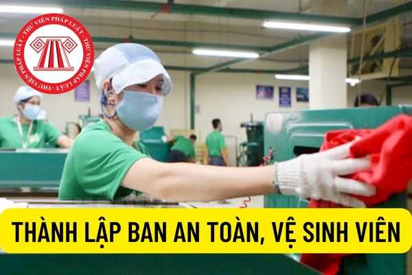 Thành lập ban an toàn, vệ sinh viên được như thế nào? Tự kiểm tra an toàn vệ sinh lao động trong cơ sở sản xuất, kinh doanh ra sao?