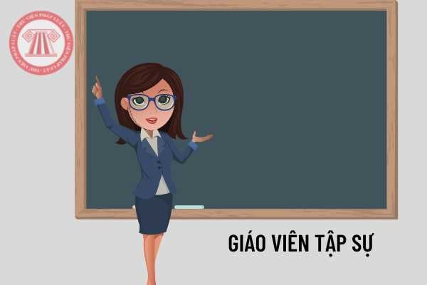 Giáo viên tập sự