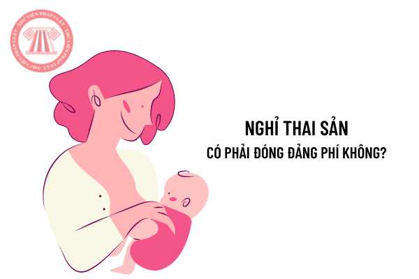 Nghỉ thai sản có phải đóng đảng phí không?