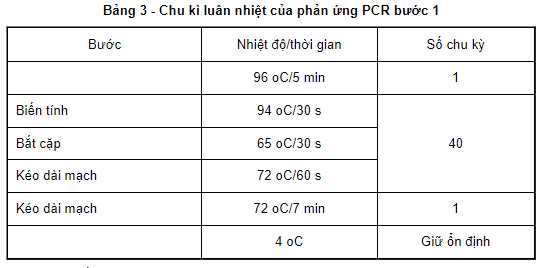 Chu kì luân nhiệt của phản ứng PCR bước 1