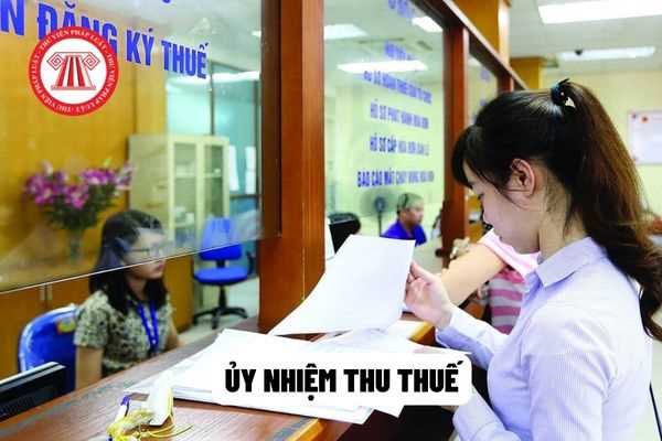 Cơ quan quản lý thuế có thể ủy nhiệm thu thuế cho tổ chức hoặc cá nhân hay không?