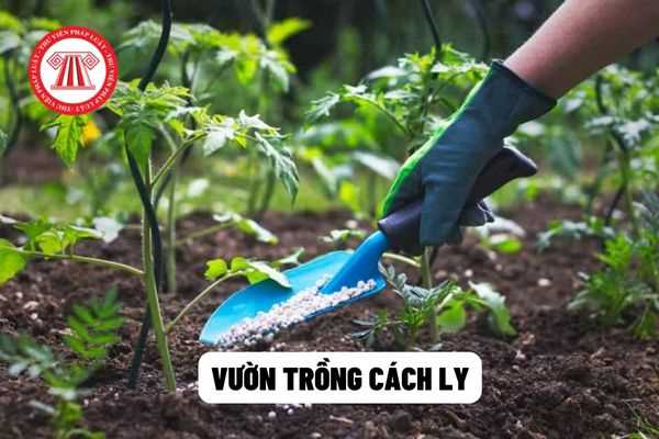 Vườn trồng cách ly