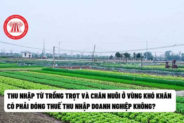 Thu nhập từ trồng trọt và chăn nuôi ở vùng khó khăn  có phải đóng thuế thu nhập doanh nghiệp không?   