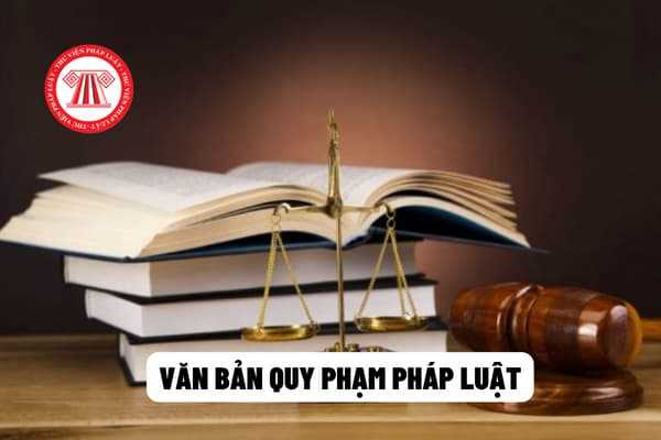 Văn bản quy phạm pháp luật