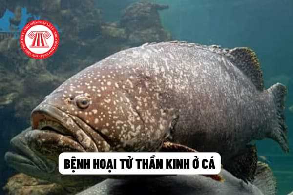 Bệnh hoại tử thần kinh ở cá