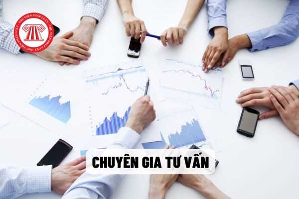 mức lương chuyên gia tư vấn