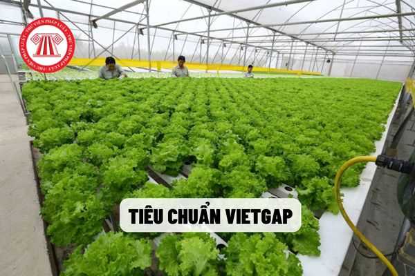 Để đạt tiêu chuẩn VietGAP về trồng trọt thì người lao động tại cơ sở trồng trọt có phải tham gia tập huấn hay không?