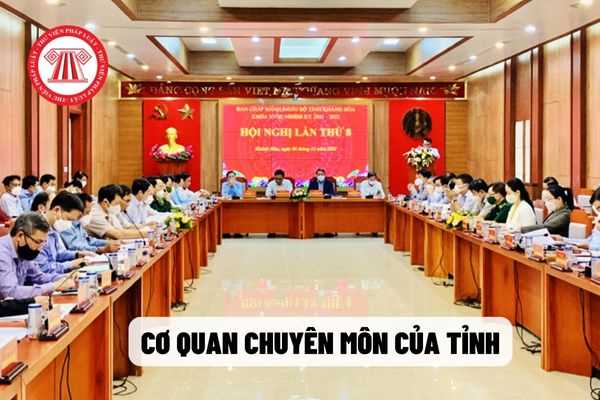 Cơ quan chuyên môn của tỉnh