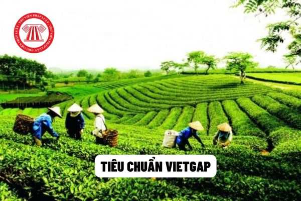 Tiêu chuẩn VietGAP