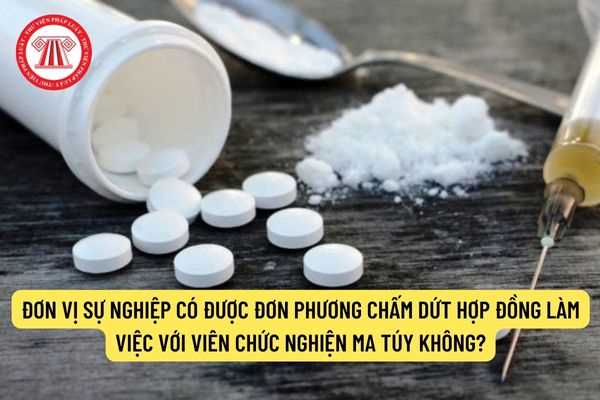 Đơn vị sự nghiệp có được đơn phương chấm dứt hợp đồng làm việc với viên chức khi người này bị nghiện ma túy không?