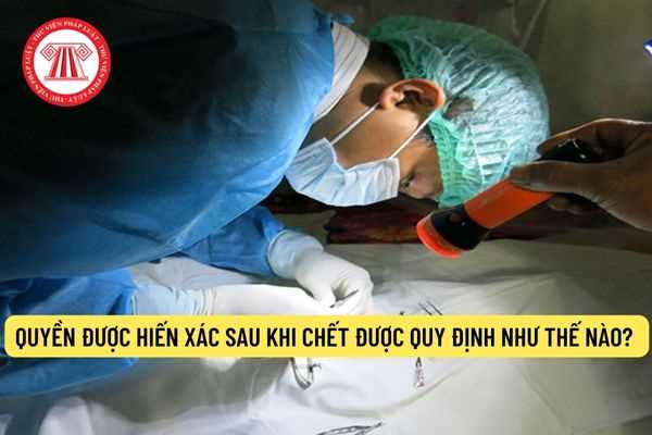 Ai có thể hiến xác cho y học và qui định hiến xác như thế nào?
